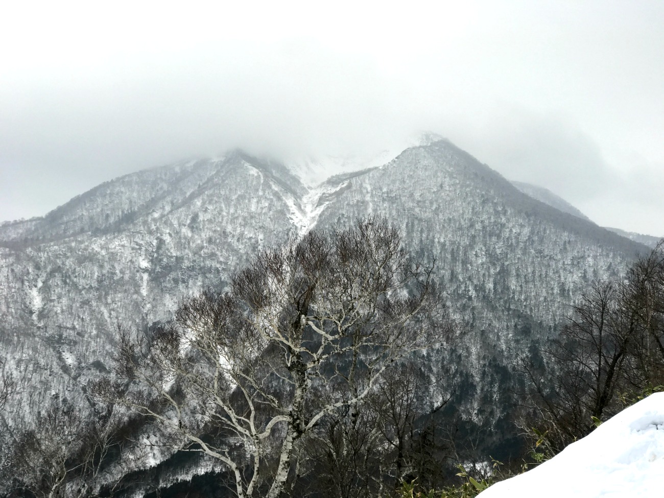 ☆2016.12.20 イチャンコッペ山〜幌平山_e0105954_21515026.jpg