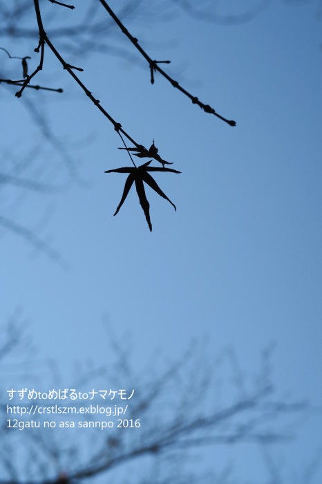 e0348754_14311832.jpg