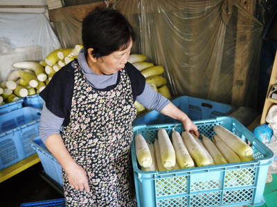 長尾ブランドの新鮮野菜!朝採りニンジン、切り干し大根販売スタート!_a0254656_19192060.jpg