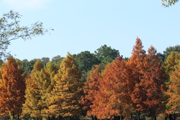 c0272958_0175318.jpg