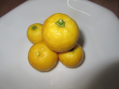 a0093965_10363636.jpg