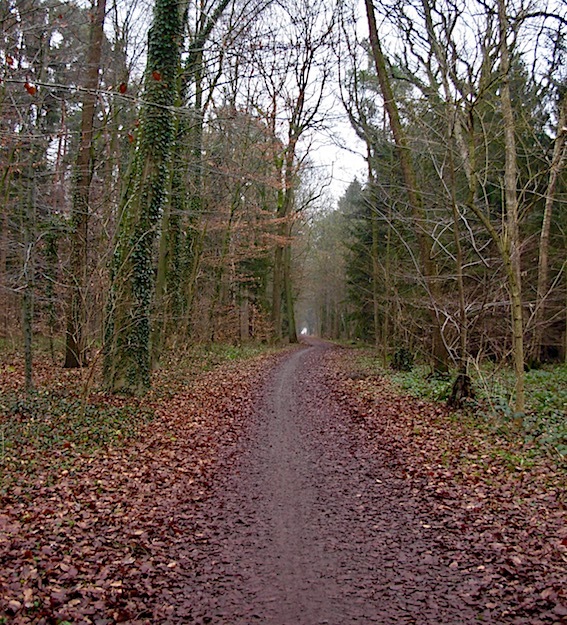 e0357367_01081933.jpg