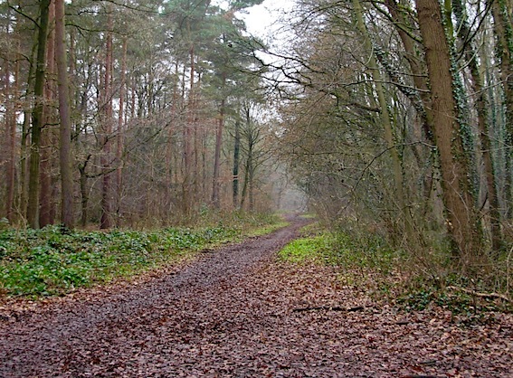 e0357367_01083354.jpg