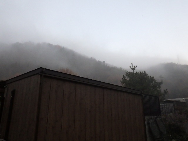 c0105569_10265540.jpg