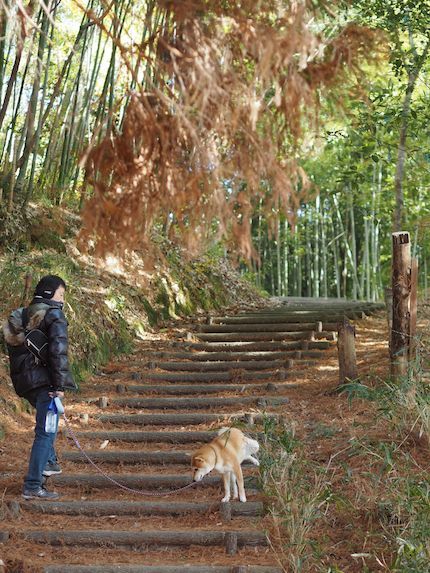 『C公園にて』＠仔丹_a0232774_12160051.jpg