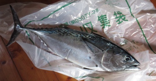 島ならでは (くらし部門)_c0204385_20495217.jpg