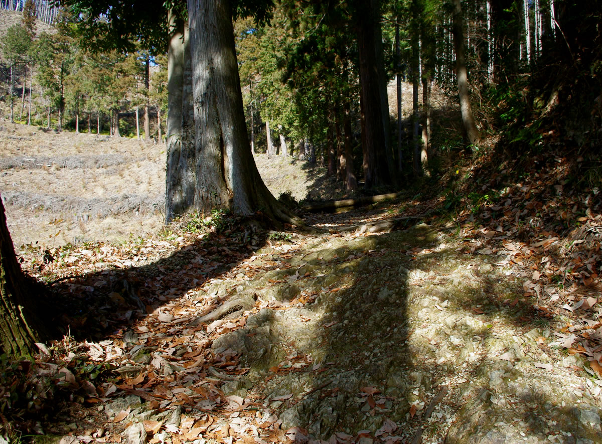 b0123486_9402136.jpg