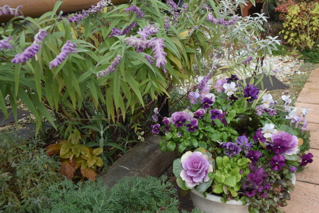 b0230589_10081280.jpg