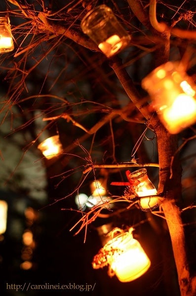 冬至のキャンドルナイト2016－あぺりらの物語と同じ木々の灯 　The Candle Night of the Winter Solstice_d0025294_23124782.jpg