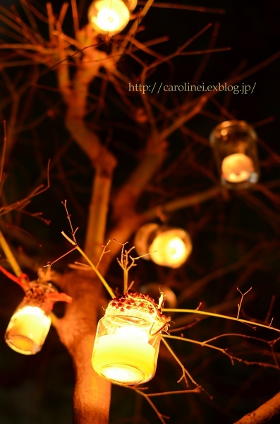 冬至のキャンドルナイト2016－あぺりらの物語と同じ木々の灯 　The Candle Night of the Winter Solstice_d0025294_23153985.jpg