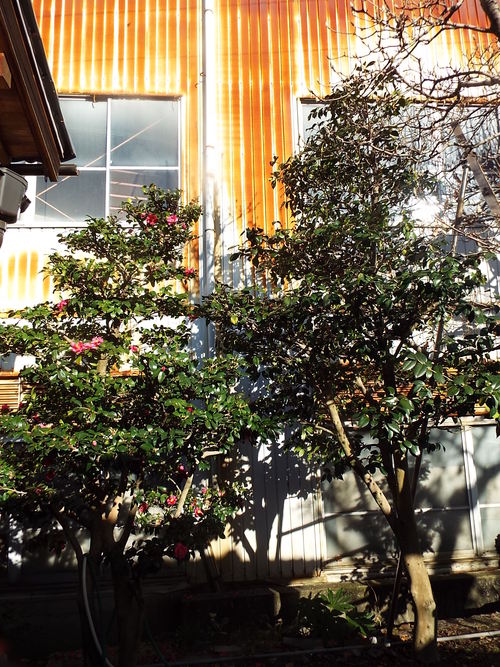 c0108198_1540694.jpg