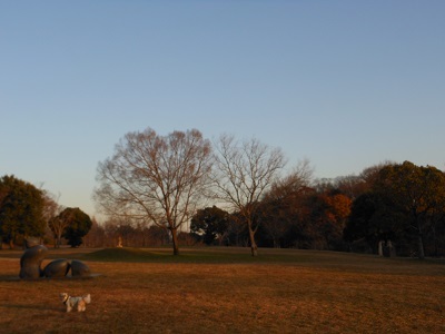 f0372998_21381765.jpg