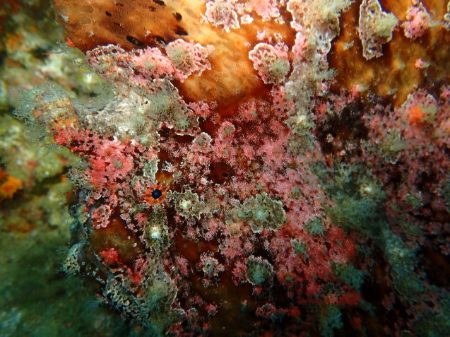 e0115199_19324047.jpg