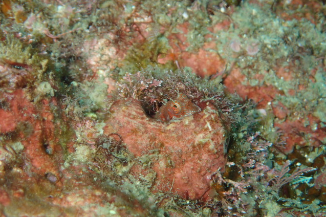 e0115199_19373373.jpg