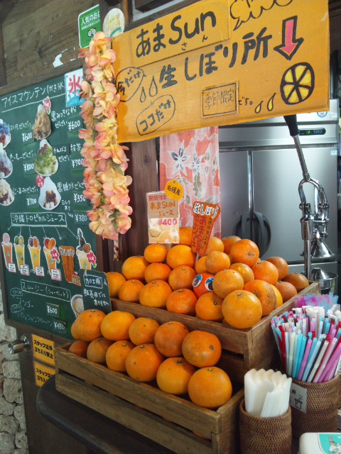 かき氷屋 琉冰_f0076001_0441549.jpg