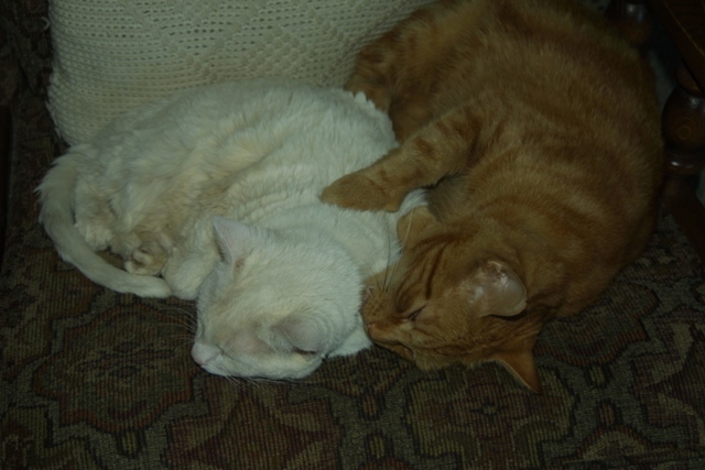 c0062603_04124444.jpg