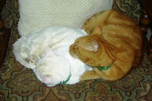 c0062603_04131672.jpg