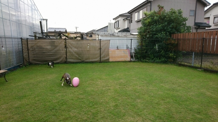 c0326807_20531750.jpg