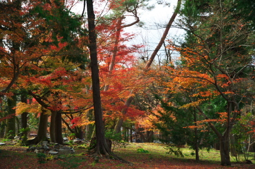 京都　南禅寺の紅葉_a0263109_13195252.jpg