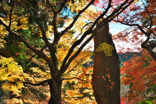 京都　南禅寺の紅葉_a0263109_13195359.jpg