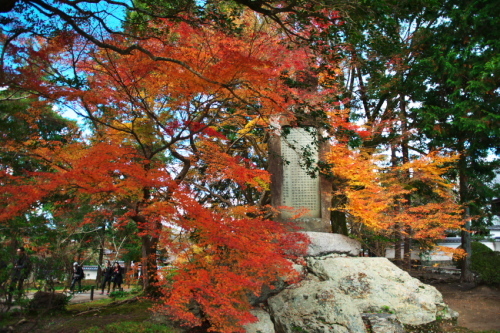 京都　南禅寺の紅葉_a0263109_13195461.jpg