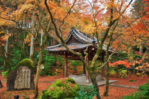 京都　永観堂の紅葉3_a0263109_13494310.jpg