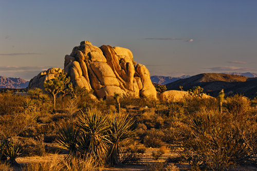 c0148812_94732.jpg