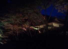 c0074219_12073816.jpg