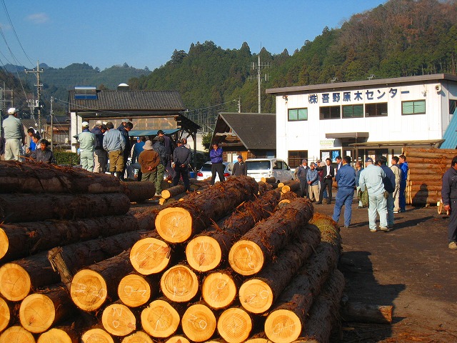 大きく違う原木価格_e0002820_75121.jpg