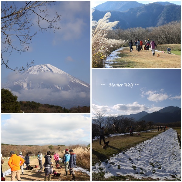 第6回キャンプ『マザーウルフCAMP~2016冬~in 静岡』②本篇_e0191026_20483523.jpg