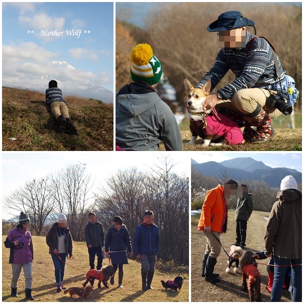 第6回キャンプ『マザーウルフCAMP~2016冬~in 静岡』②本篇_e0191026_22442383.jpg
