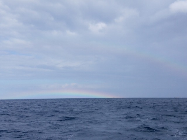 e0062639_1775145.jpg