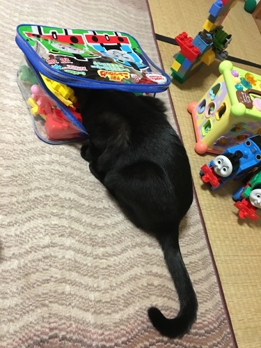 b0341440_17125888.jpeg