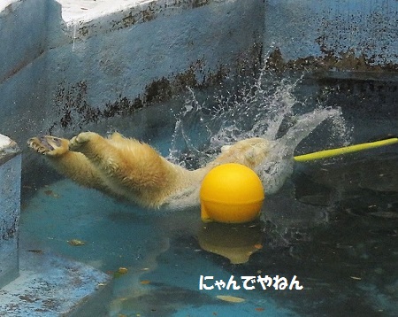 f0002743_12505420.jpg