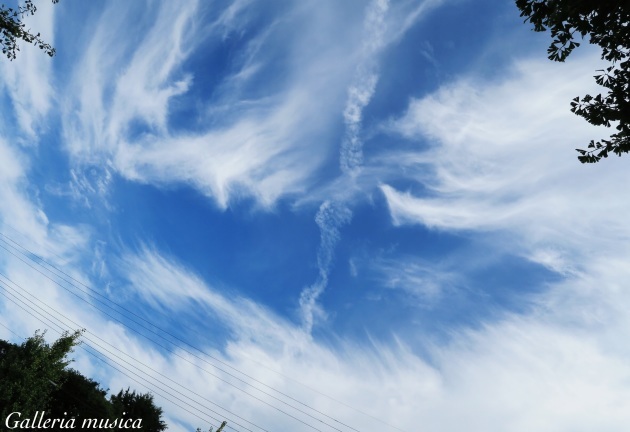 f0351853_00162512.jpg