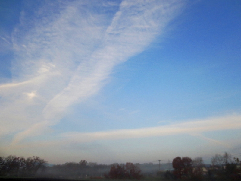 b0248954_6291559.jpg