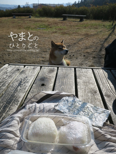 a0286855_06341134.gif