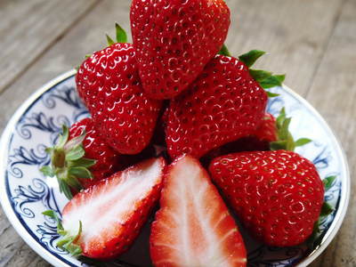熊本産高級イチゴ『完熟紅ほっぺ』　完熟の美味さ！朝採りの新鮮さ！のイチゴを大好評発売中！_a0254656_17591146.jpg