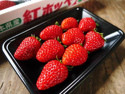 熊本産高級イチゴ『完熟紅ほっぺ』　完熟の美味さ！朝採りの新鮮さ！のイチゴを大好評発売中！_a0254656_183077.jpg