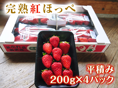 熊本産高級イチゴ『完熟紅ほっぺ』　完熟の美味さ！朝採りの新鮮さ！のイチゴを大好評発売中！_a0254656_19202477.jpg