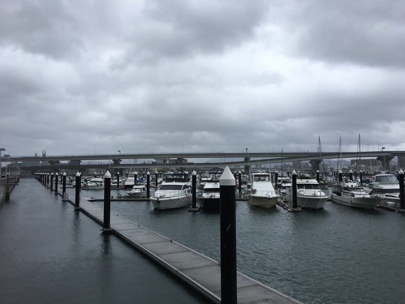 ボートパーク広島 どーもボキです Z