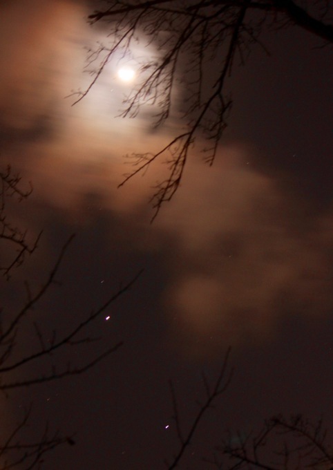 a0248459_15370699.jpg