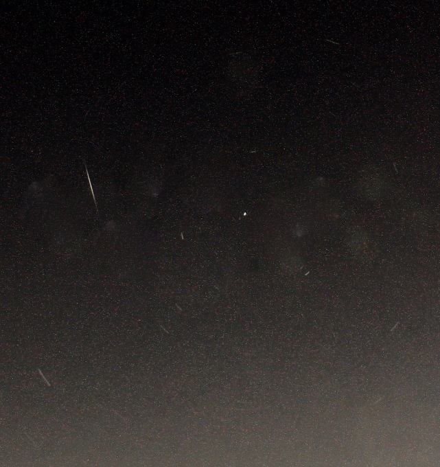 a0248459_15375322.jpg
