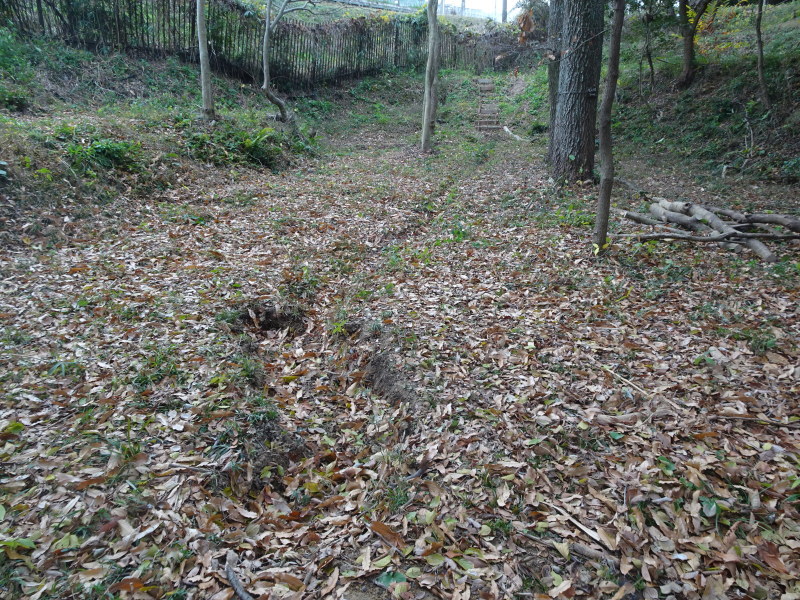 c0108460_16385443.jpg