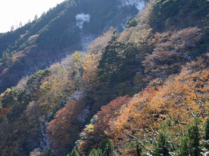 ２０１６年の紅葉を惜しむ（１）大山阿夫利神社と大山寺_c0014967_35570.jpg