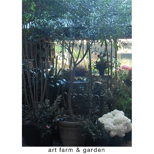 海辺から行ったり来たり/art farm & garden_b0290469_09554716.jpg