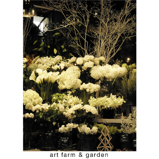 海辺から行ったり来たり/art farm & garden_b0290469_10294463.jpg