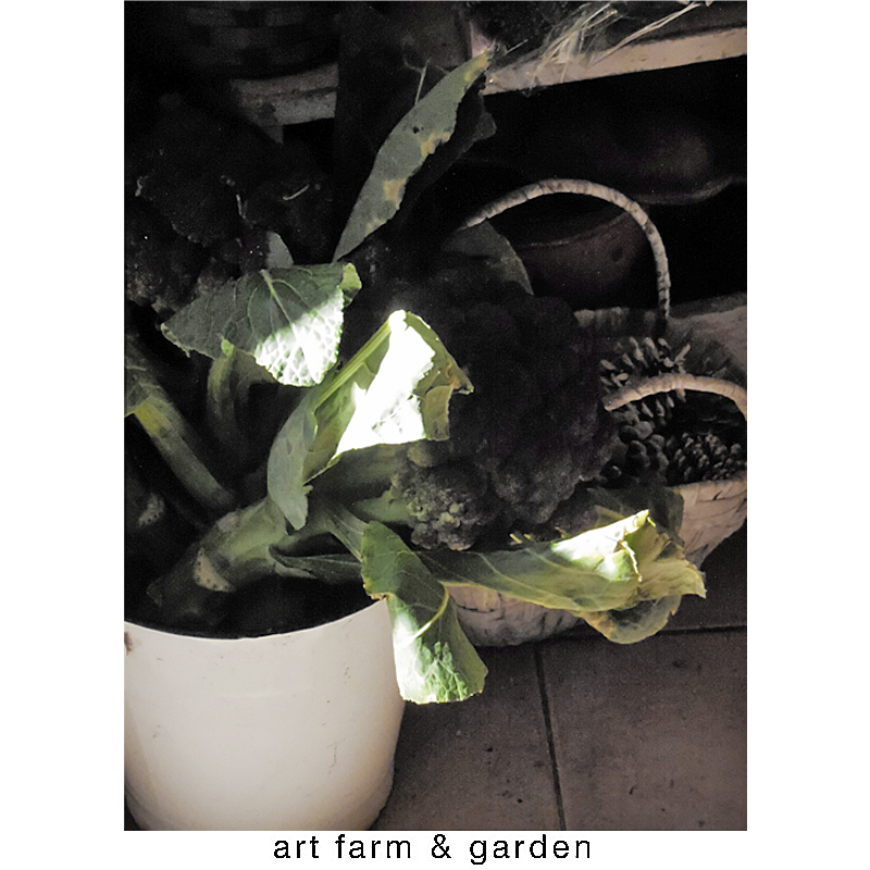 海辺から行ったり来たり/art farm & garden_b0290469_10423937.jpg