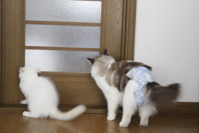 待ってる2人_a0285571_2321859.jpg
