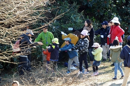 クリスマスリースづくり 16 12 3 17 の報告 葛西臨海公園 鳥類園 クリスマスリースづくり 16 12 3 17 の報告 葛西臨海公園 鳥類園